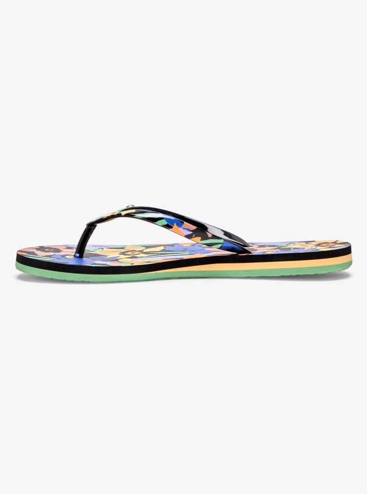 Tong Roxy Portofino Noir Multicolore Femme | LLN-38060672