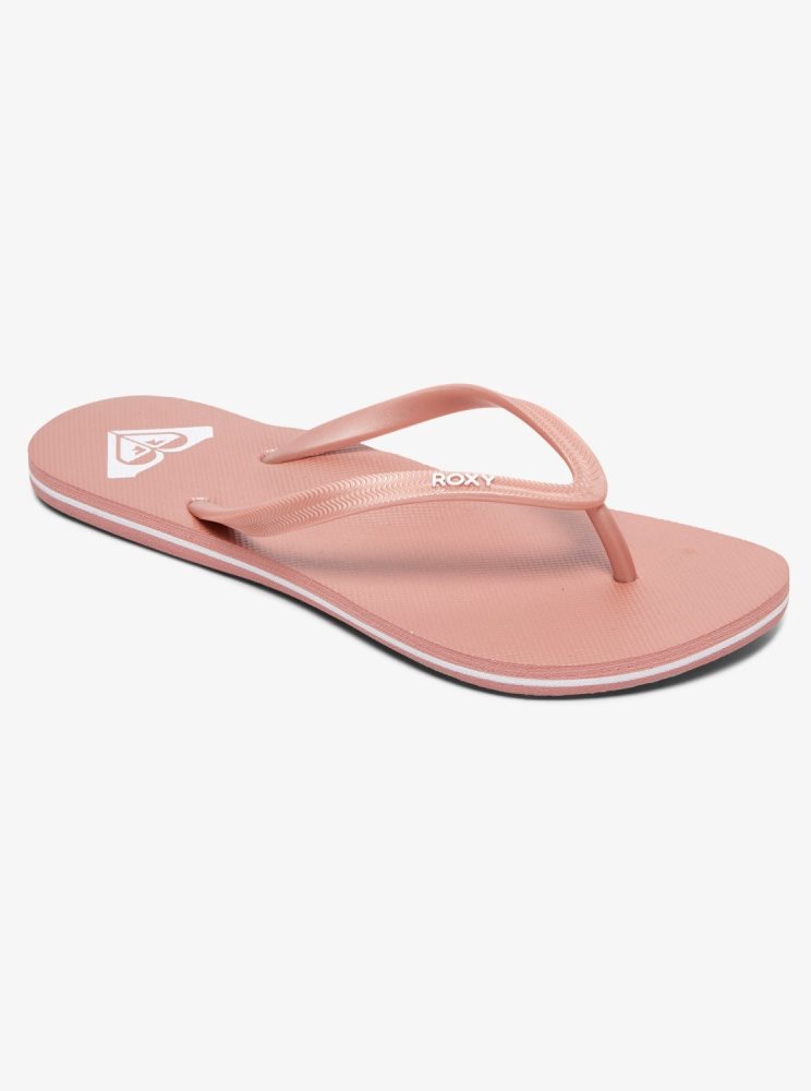 Tong Roxy Azul Basic Rose Doré Femme | UOY-12095565