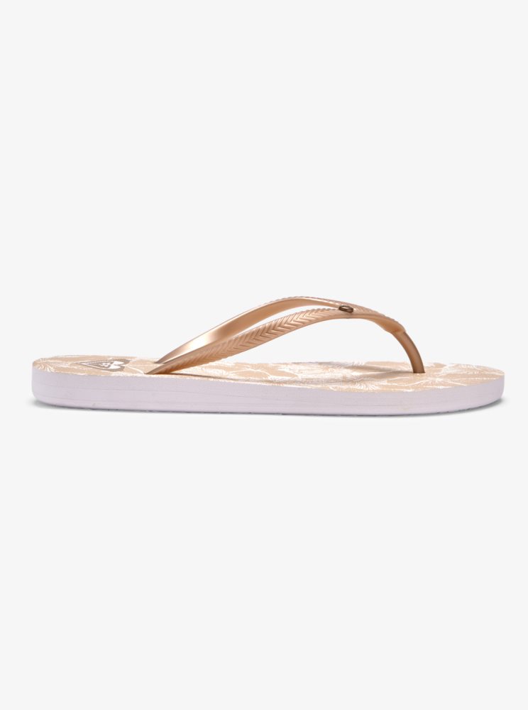 Sandales Roxy Bermuda Beige Blanche Femme | GUL-08551535