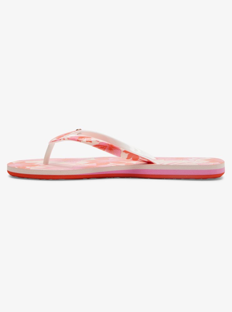 Tong Roxy Portofino Rose Fleur Femme | VGY-03806216