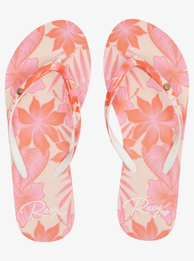 Tong Roxy Portofino Rose Fleur Femme | VGY-03806216