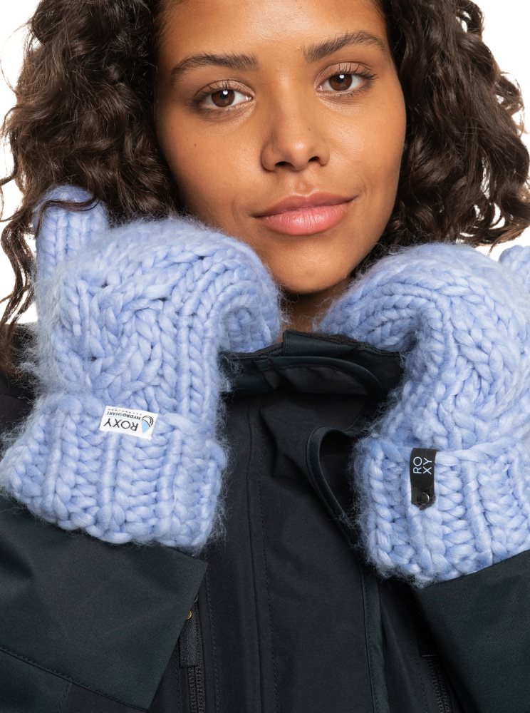 Gants Ski Roxy D'hiver Mittens Bleu Femme | TMD-96161732