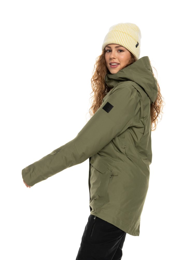 Veste De Ski Roxy GORE-TEX? Glade Insulated Vert Foncé Femme | WGO-62404035