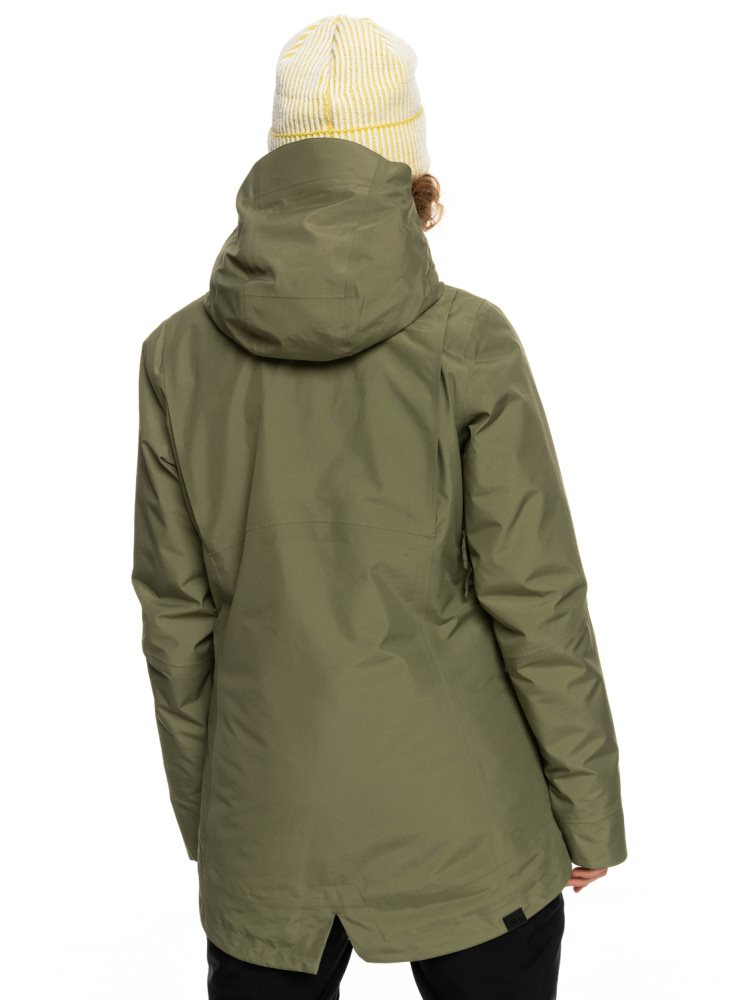 Veste De Ski Roxy GORE-TEX? Glade Insulated Vert Foncé Femme | WGO-62404035