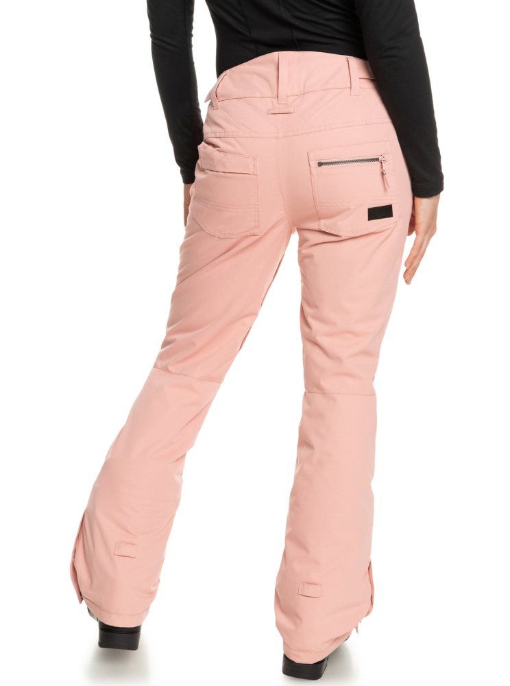 Pantalon Ski Roxy Nadia Insulated Rose Femme | QHK-31516309