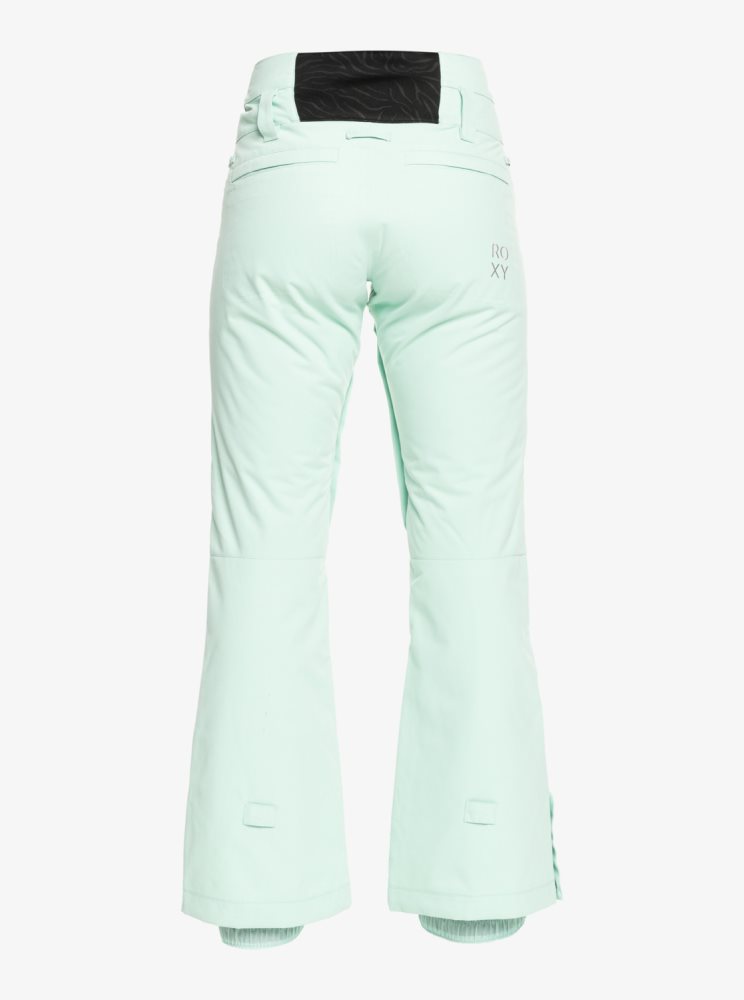 Pantalon Ski Roxy Diversion Insulated Turquoise Clair Femme | WMP-69174771