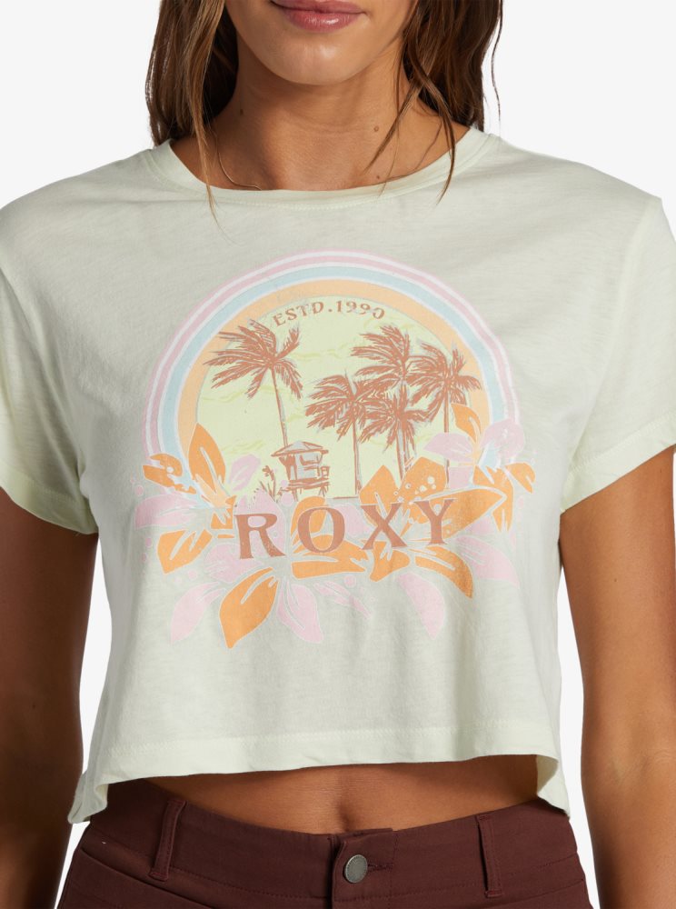 T Shirts Roxy Haleiwa Moment Cropped Baby Vert Clair Femme | LPB-58461322