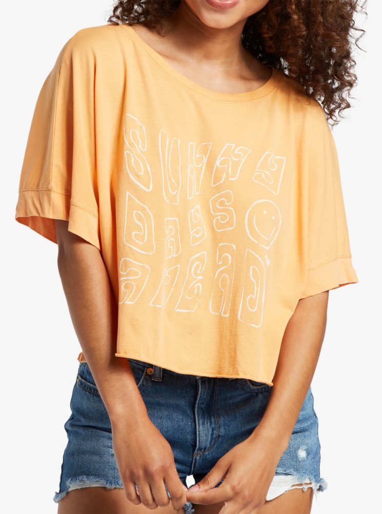 T Shirts Roxy Sunny Smiles Orange Femme | RUY-94595387