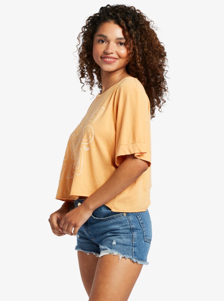 T Shirts Roxy Sunny Smiles Orange Femme | RUY-94595387