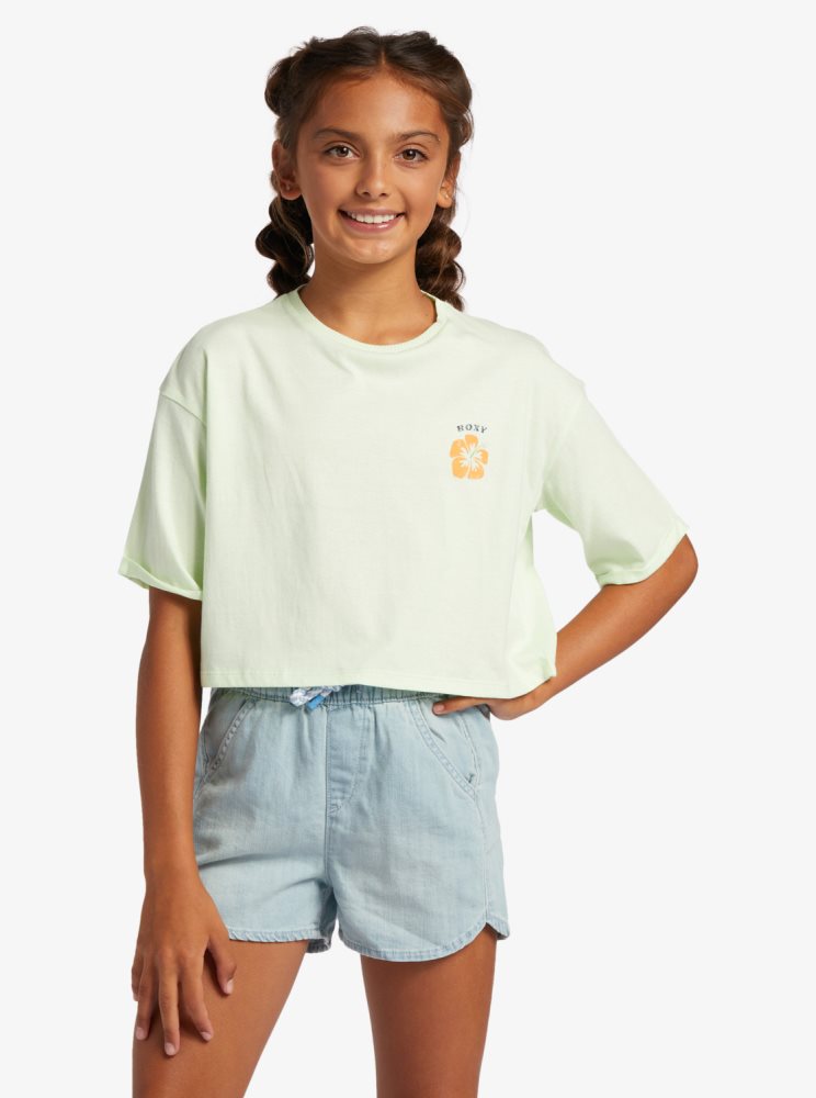 T Shirts Roxy 4-16 Call You Mine Oversized Cropped Vert Clair Enfant | USV-11455894