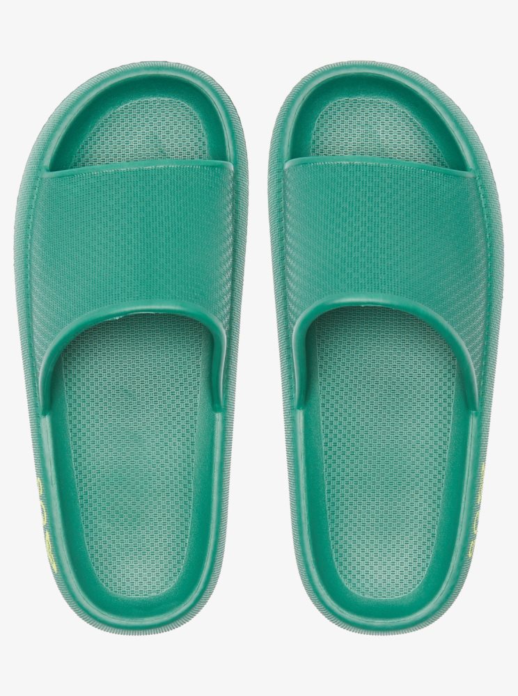 Sandales Roxy SG Slippery Slider Vert Femme | IBZ-12666850