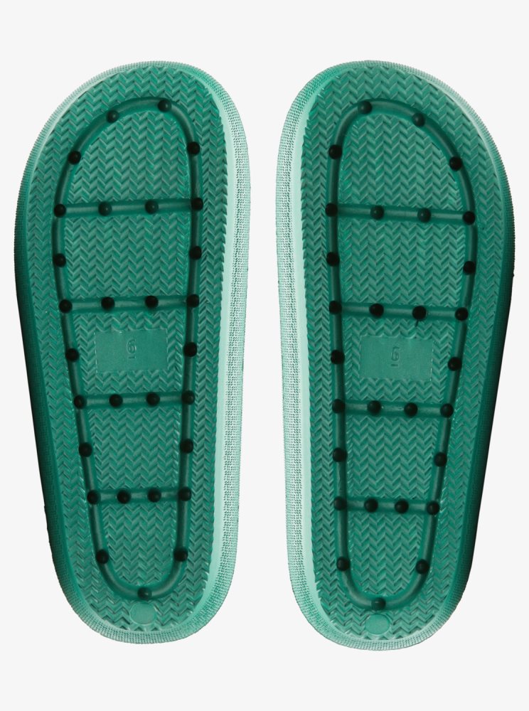 Sandales Roxy SG Slippery Slider Vert Femme | IBZ-12666850