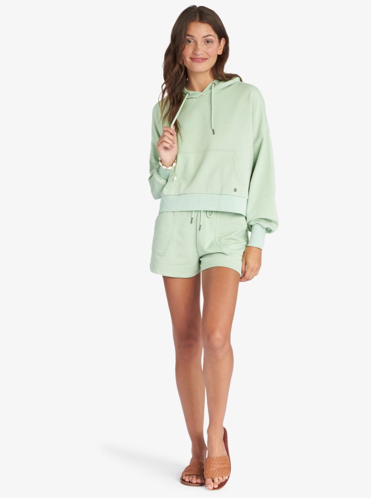 Sweat à Capuche Roxy Afternoon Hike Pullover Vert Femme | FPG-24884264