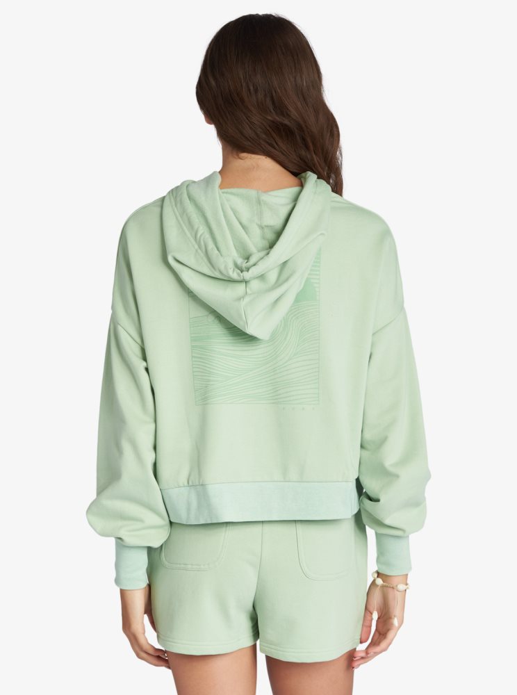 Sweat à Capuche Roxy Afternoon Hike Pullover Vert Femme | FPG-24884264