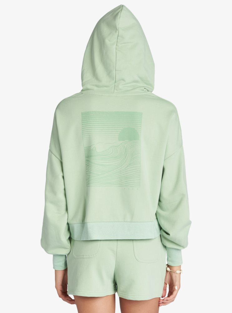 Sweat à Capuche Roxy Afternoon Hike Pullover Vert Femme | FPG-24884264