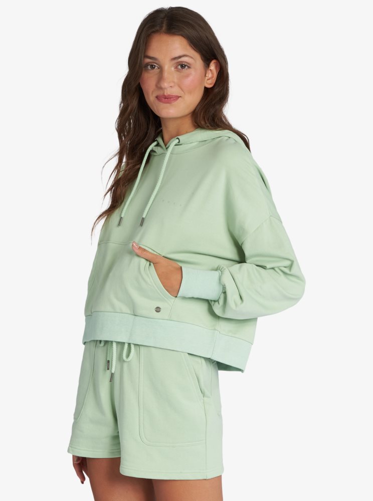 Sweat à Capuche Roxy Afternoon Hike Pullover Vert Femme | FPG-24884264