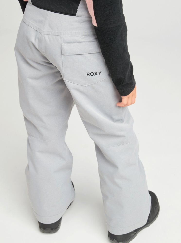 Pantalon Ski Roxy 4-16 Diversion Insulated Grise Enfant | QBY-86972580