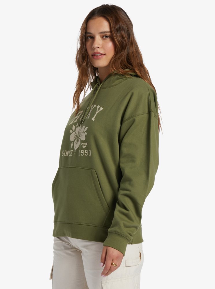 Sweat à Capuche Roxy Shoreside Hike B Oversize Vert Olive Vert Femme | SNM-06080849