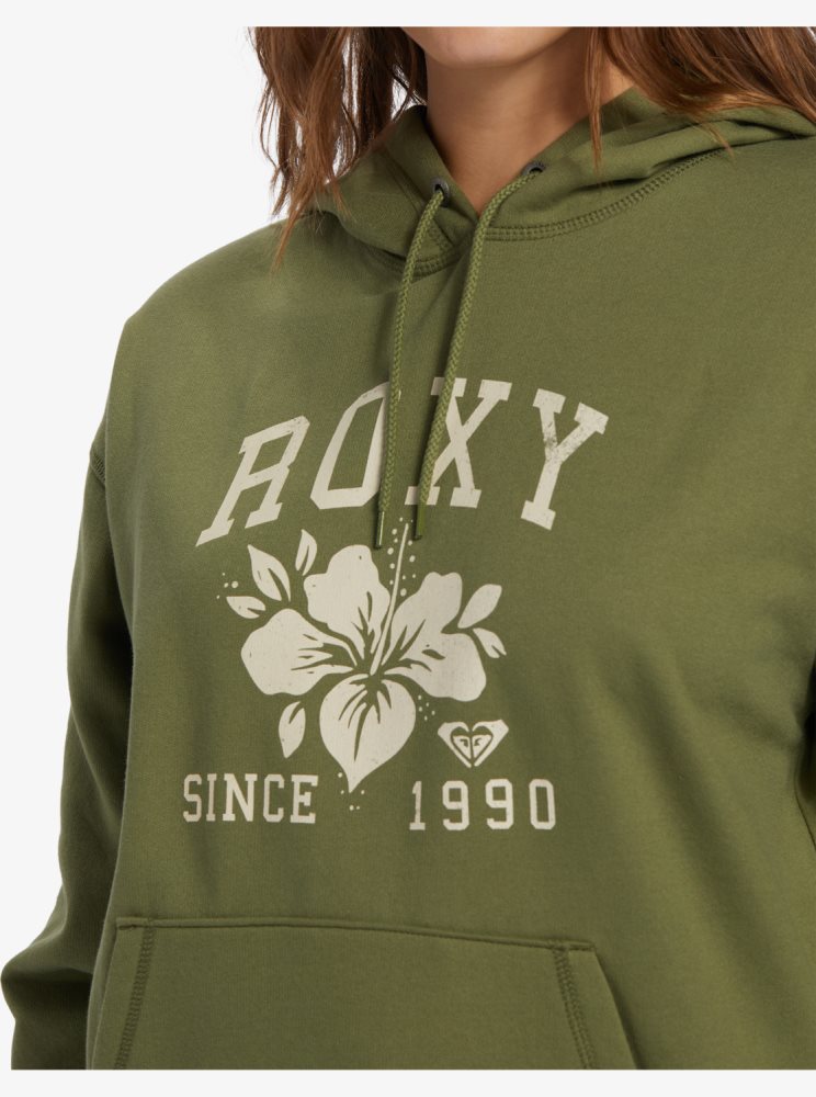 Sweat à Capuche Roxy Shoreside Hike B Oversize Vert Olive Vert Femme | SNM-06080849