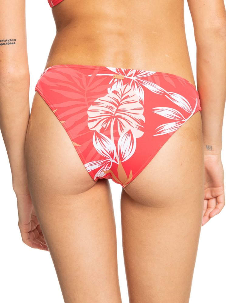 Bas De Bikini Roxy Seaside Tropics Mid-Taille Blanche Rouge Femme | BUX-10390638